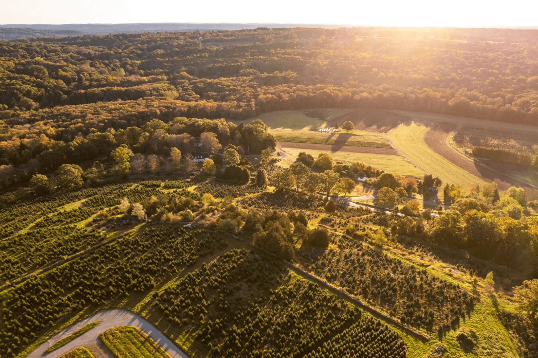 Network of 40 Regional Navigators to Support Farmers and Landowners through Farmland for a New Generation New York