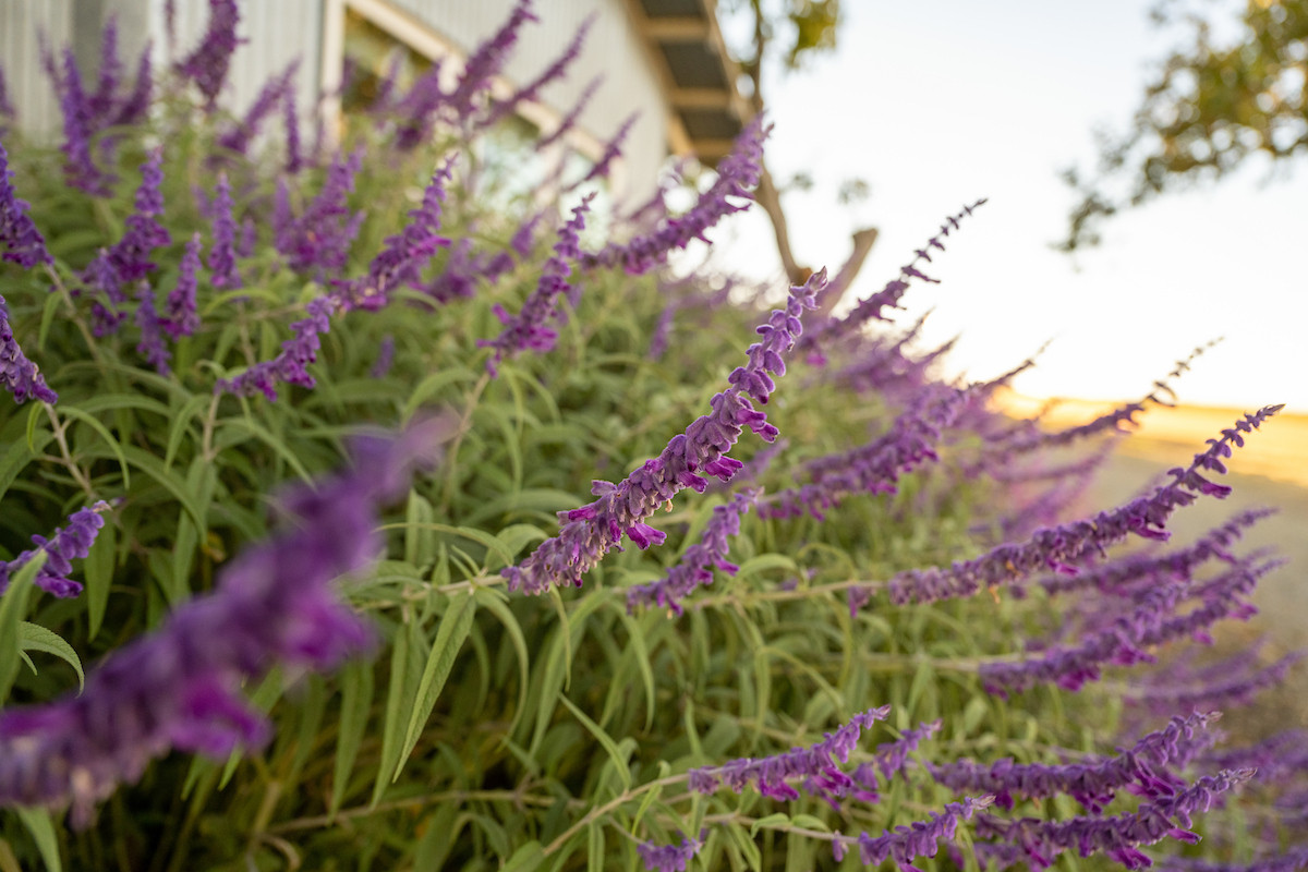 Photo of Eric Bronson